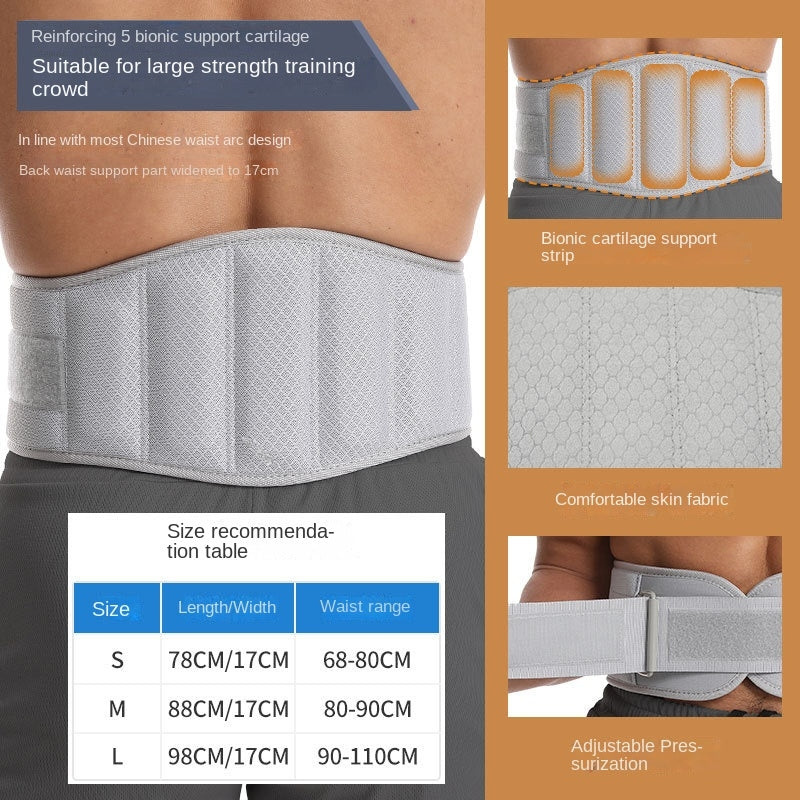 Premium Weight Lifting Belt